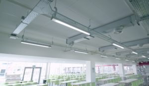 Inefficient fluorescent tubes replaced with LED lighting at Manchester high school canteen.