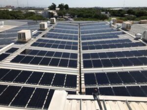 Cedis / Marzam - Bifacial solar panel installation (4)